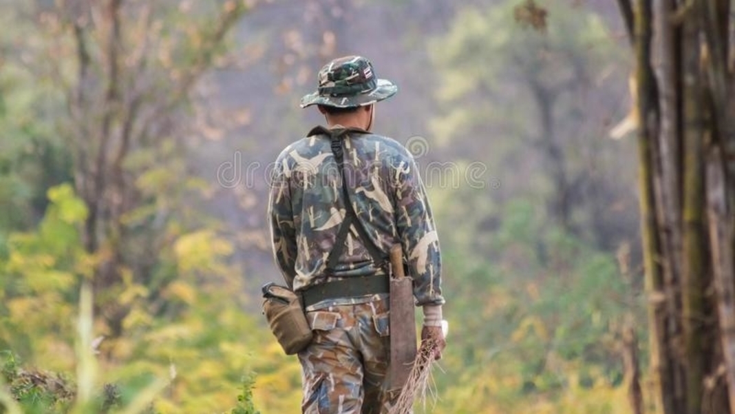 Forest guards in Meghalaya to be give arms again, as insurgency ends