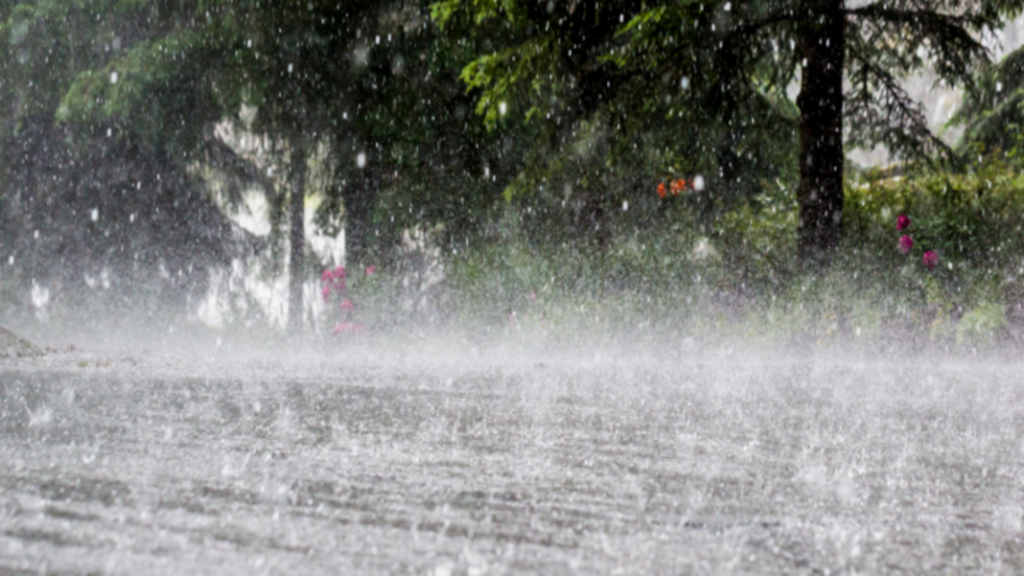 Heavy rain warning in East Garo Hills - Hub News