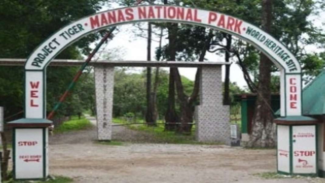 Assam: Rhino carcass found in Manas National Park, investigation underway