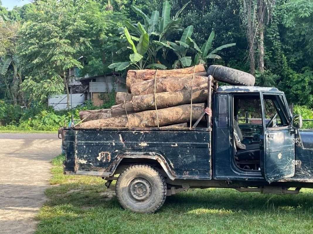 GSU, GSMC write to SWGH police station on illegal supply of logs from Koraitola to Assam