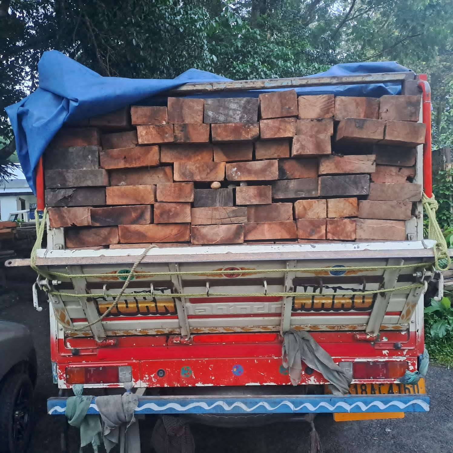 Aham unit detains vehicles with banned timber, one held