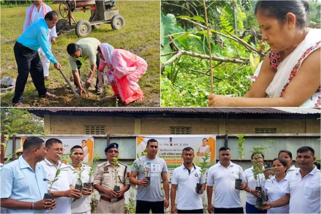 Assam makes history by planting 1 crore saplings in 2 hours