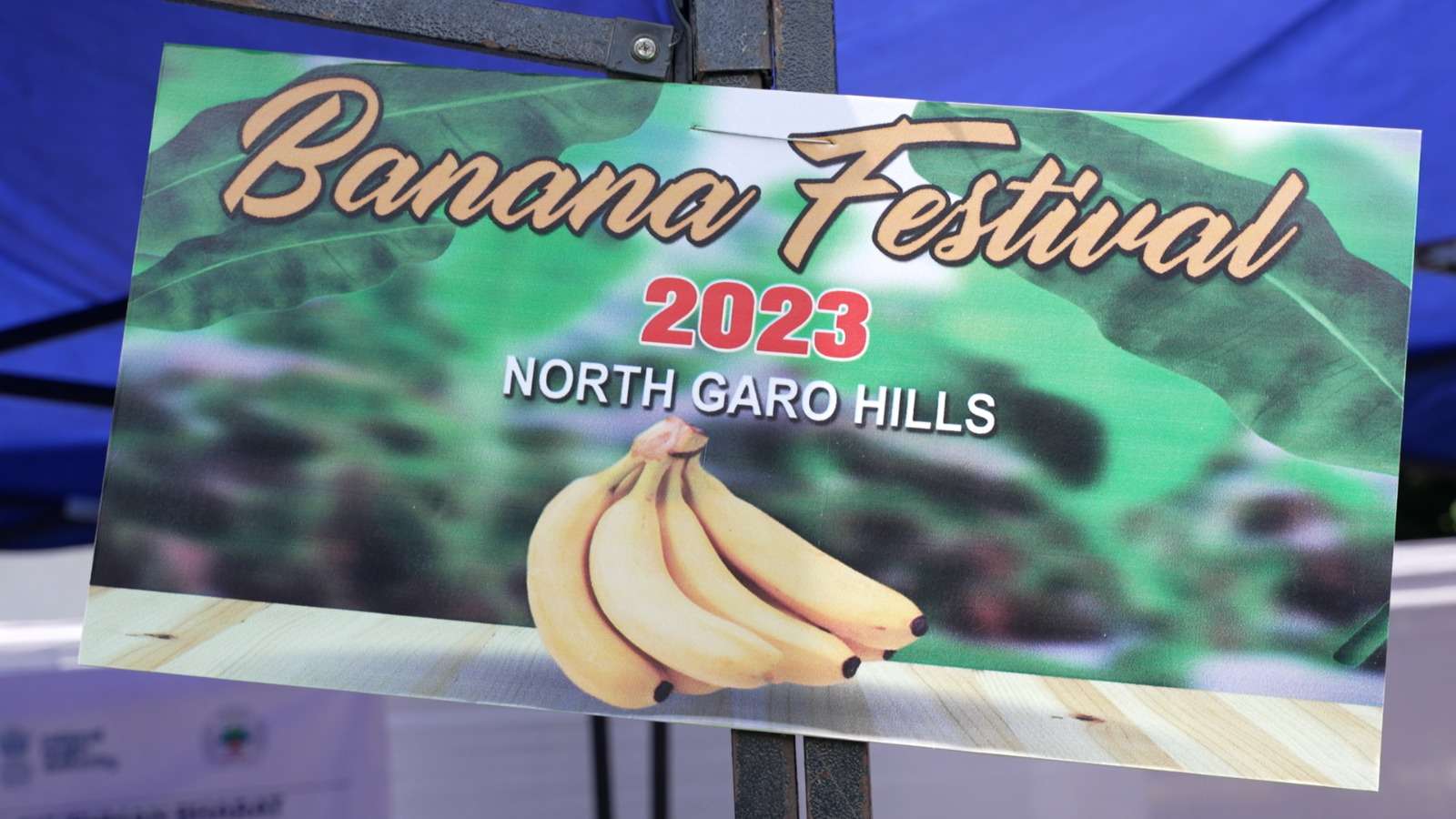 Banana Festival showcases North Garo Hills' abundant produce and entrepreneurial spirit