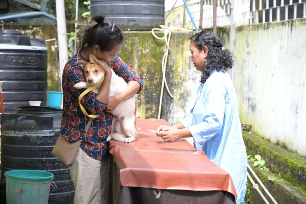 World Rabies Day: Free anti-rabies vaccination programme organised in Tura