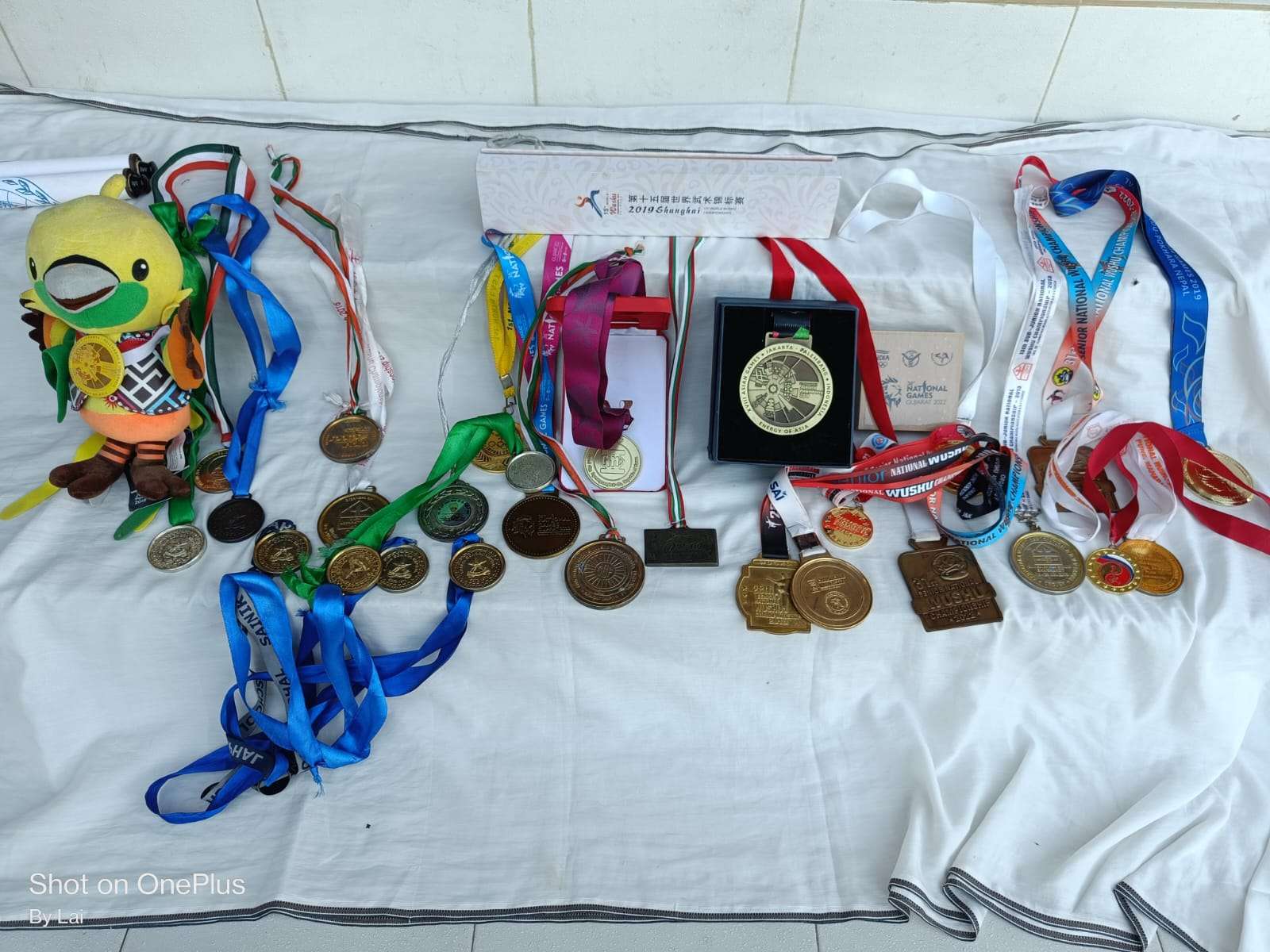 From a nondescript village to Hangzou Asiad; Manipur’s Wushu fighter Roshibina Devi wins silver