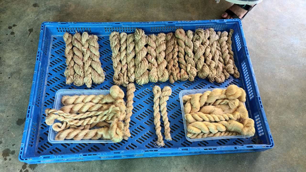 14-day Muga silk training ON post-cocoon processing held at Baljek Agal in WGH