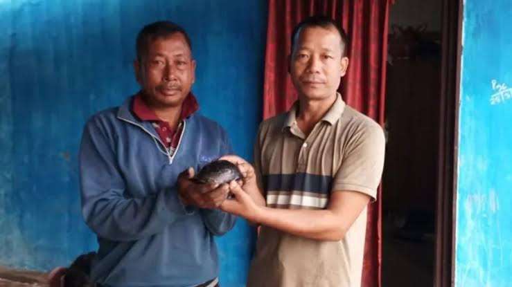 Manipur: Two endangered turtles rescued from Loktak lake area