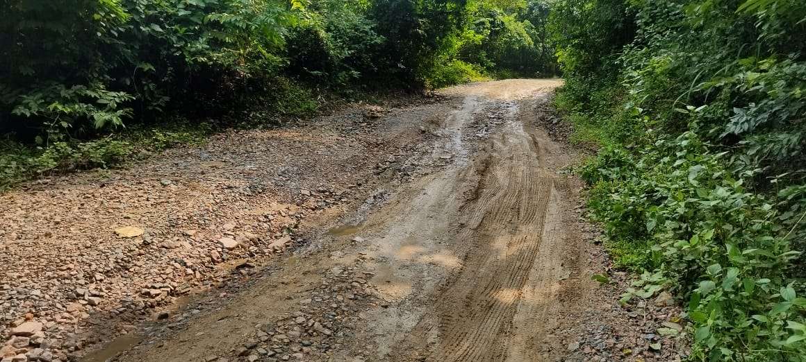 GHADC MDC accused of abandoning Zikzak road project