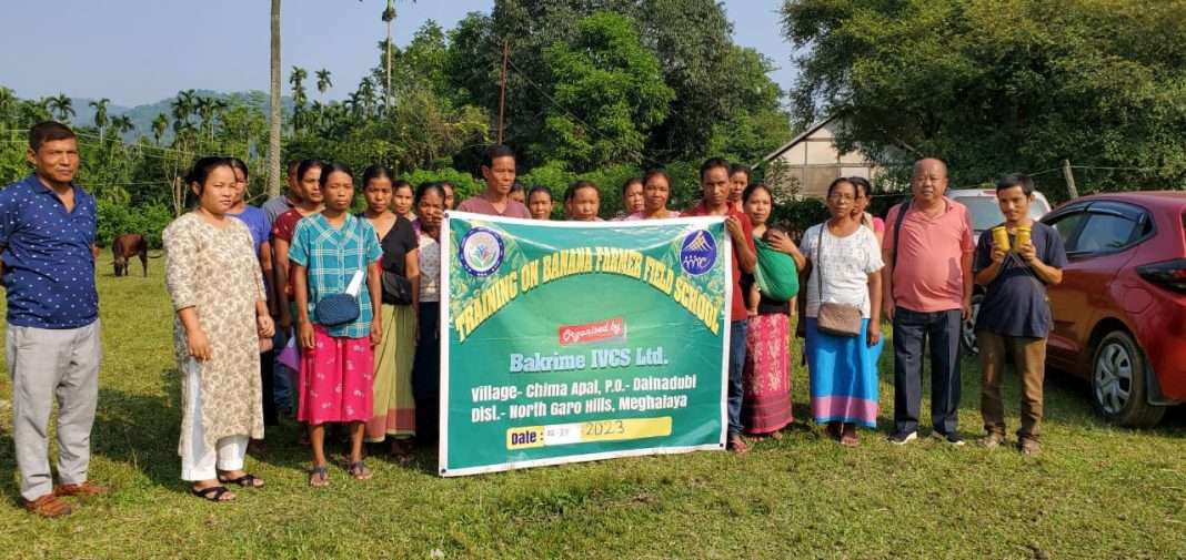 Towards creating banana value chain: Training on Banana Processing held in North Garo Hills