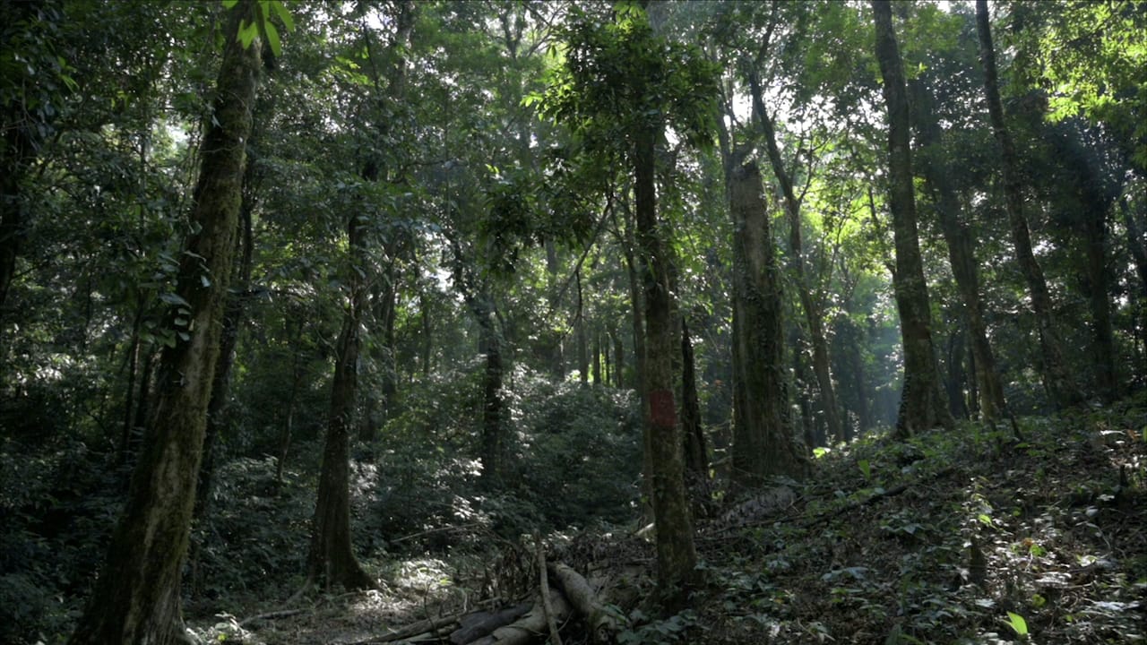 Missing BSF commandant found alive inside Nokrek Park in Garo Hills after 9 hours of search