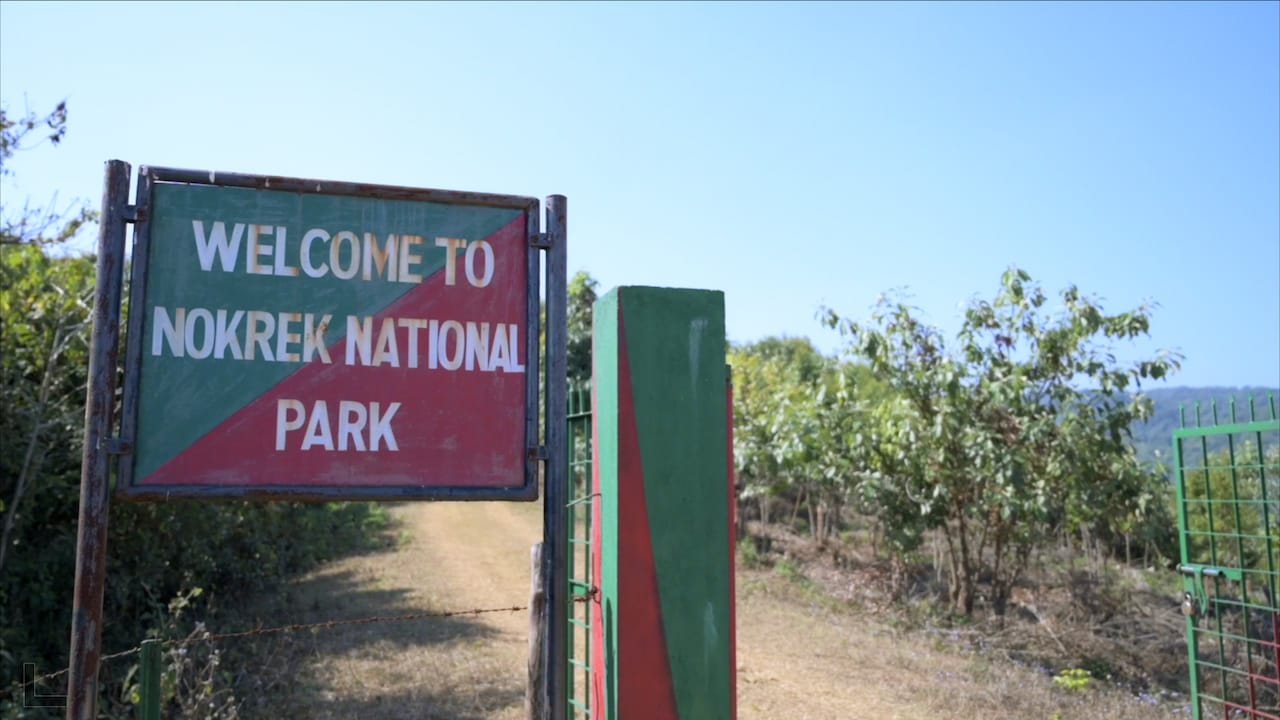 Missing BSF commandant found alive inside Nokrek Park in Garo Hills after 9 hours of search