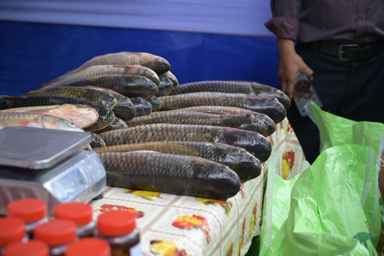 World Fisheries Day: Garo Hills Aqua Fest 2023 recognises excellence and grants refrigerated truck to Tikrikila Vendor