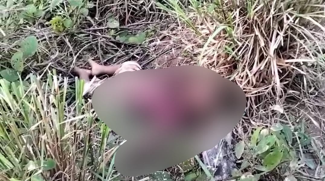 Assam: 4 trampled to death in Assam by wild elephants in Karbi Anglong