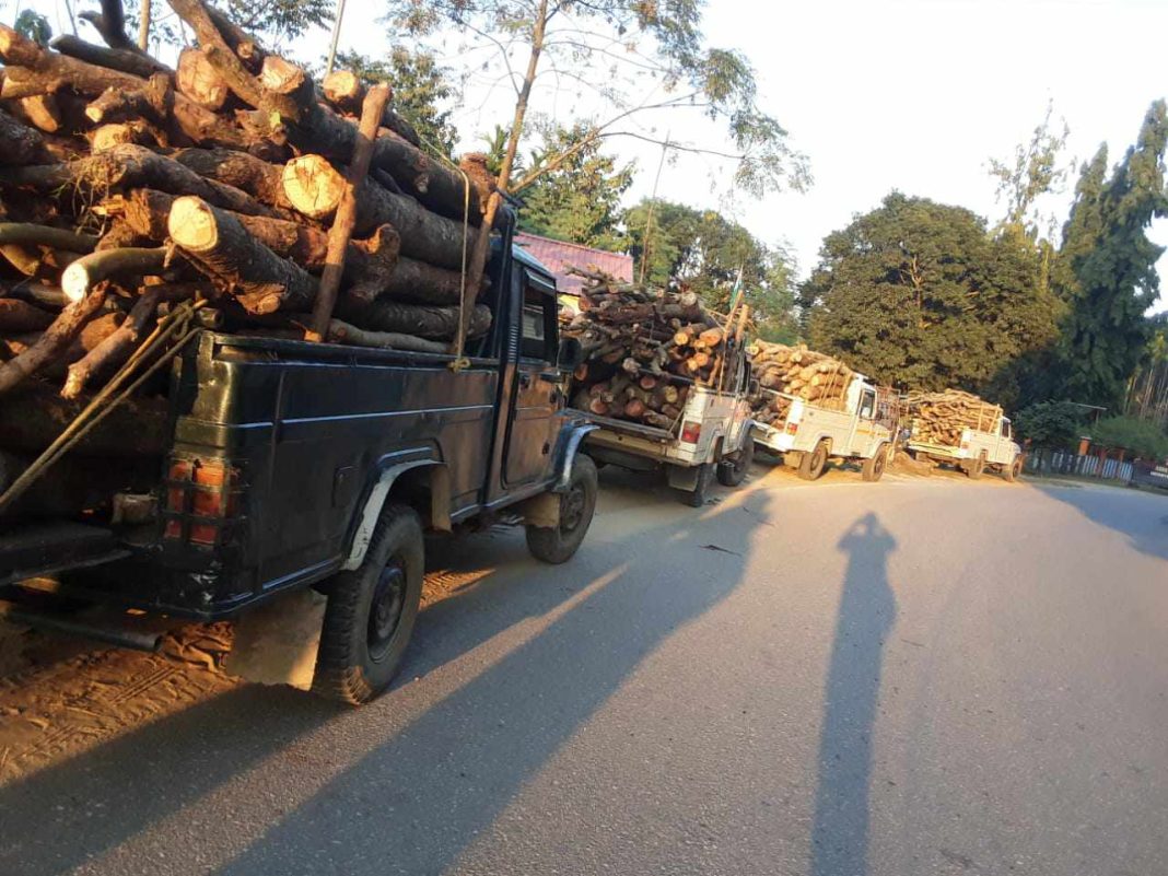 GSMC and activists file FIR against Mahendraganj Forest Ranges for illegal timber smuggling