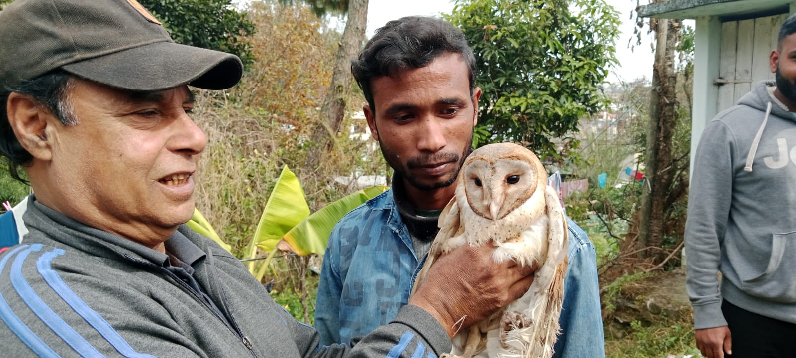Shillong's Golf-Link residents save owl entangled in kite thread, hand over to Wildlife Department