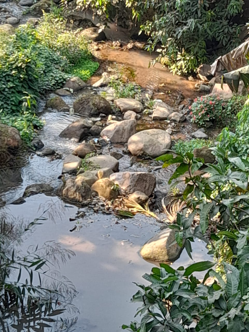 Gandrak stream that flows through Chandmari in Tura remains polluted due to waste discharge