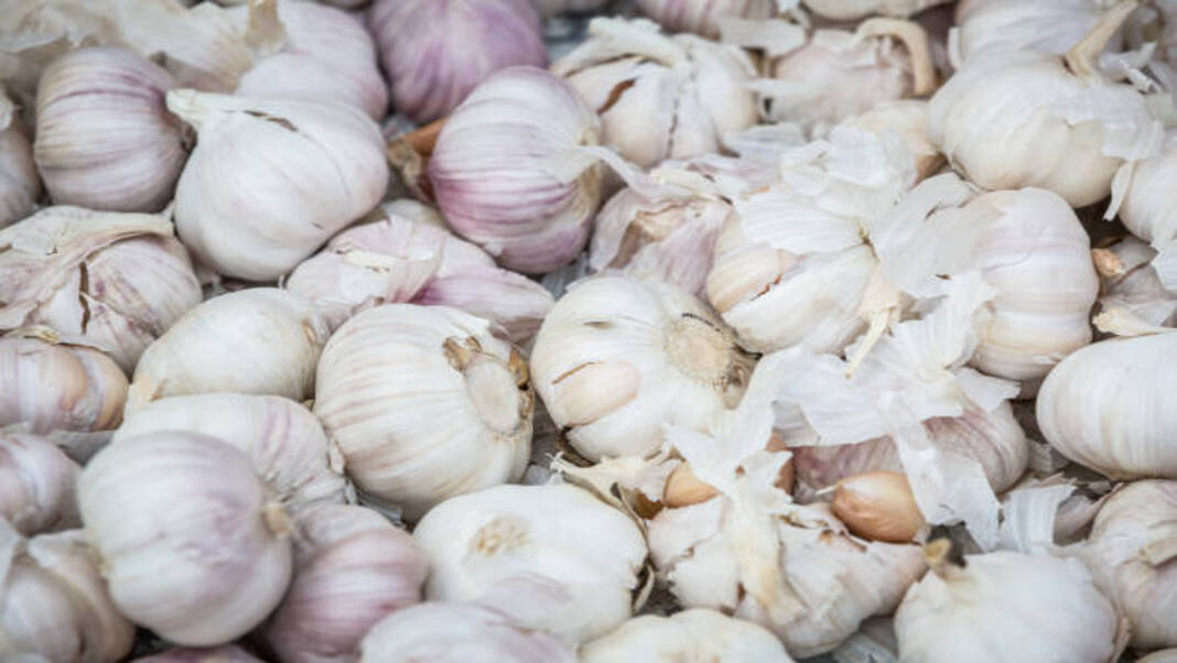 Garlic price soars in Guwahati, hits Rs 400 per kg