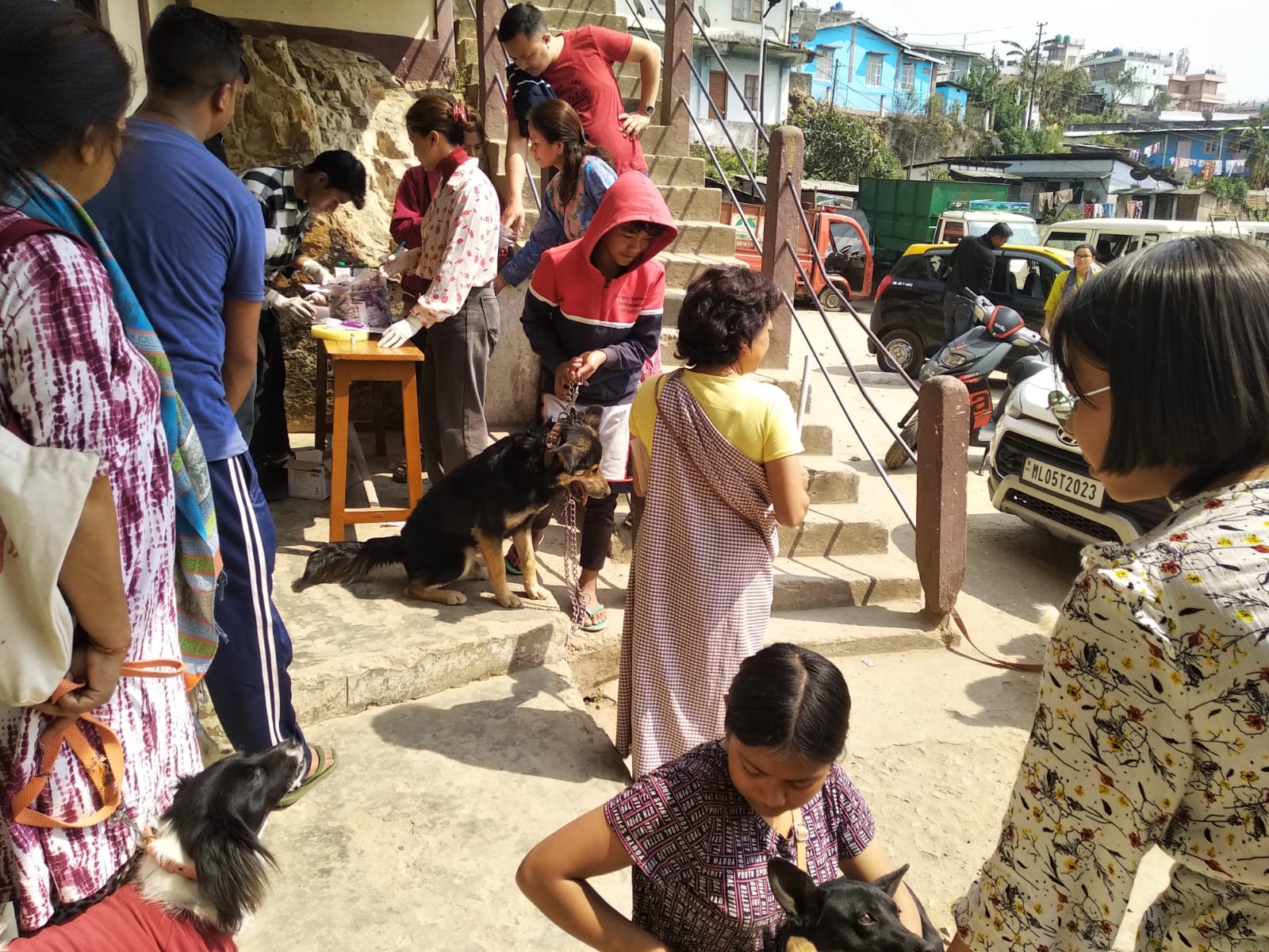 Rising cases of dog bites in Meghalaya, focus on vaccine for protection