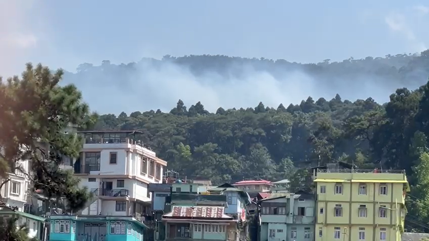 Forest fire engulfs sections of Lumparing-Malki and Motinagar forest; Fire department on high alert