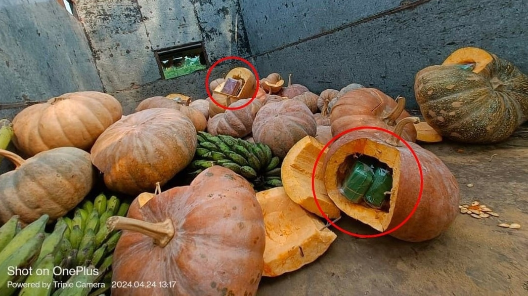 Security Forces Uncover 3.5 Crore Brown Sugar Concealed in Pumpkins