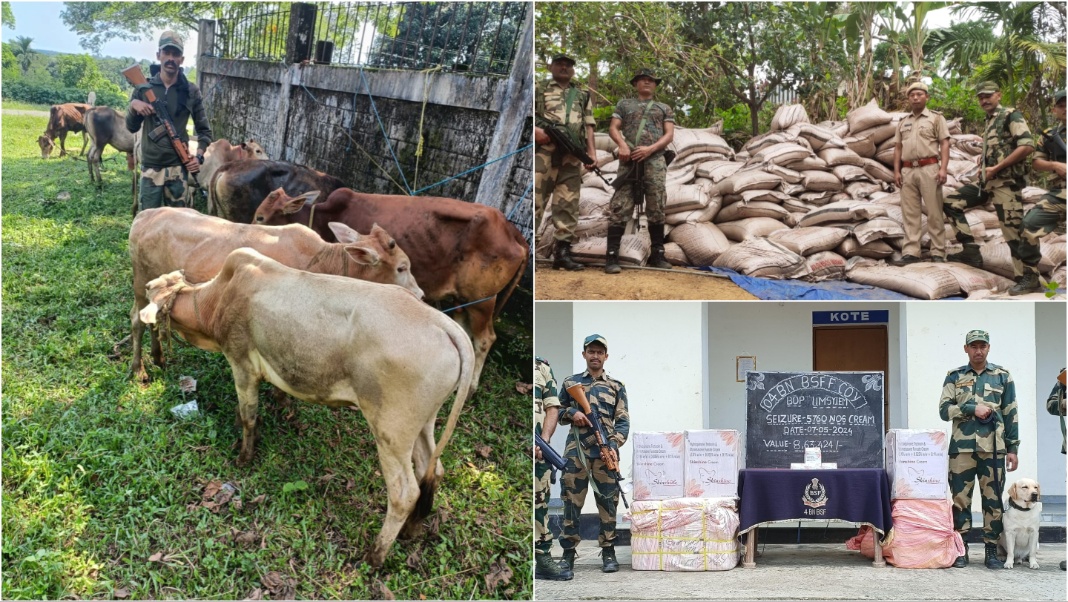 BSF Meghalaya foils smuggling attempts, seizes cattle, sugar and cosmetic items along the Indo-Bangla border
