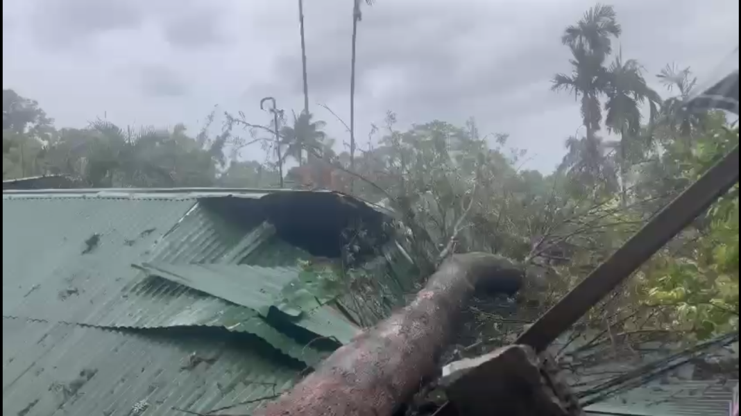 Miraculous escape for Tura family as tree falls on house