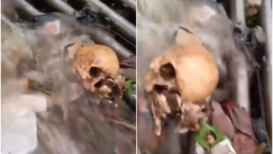 Human skull, upper torso, decomposed parts found in Bivar Road drain