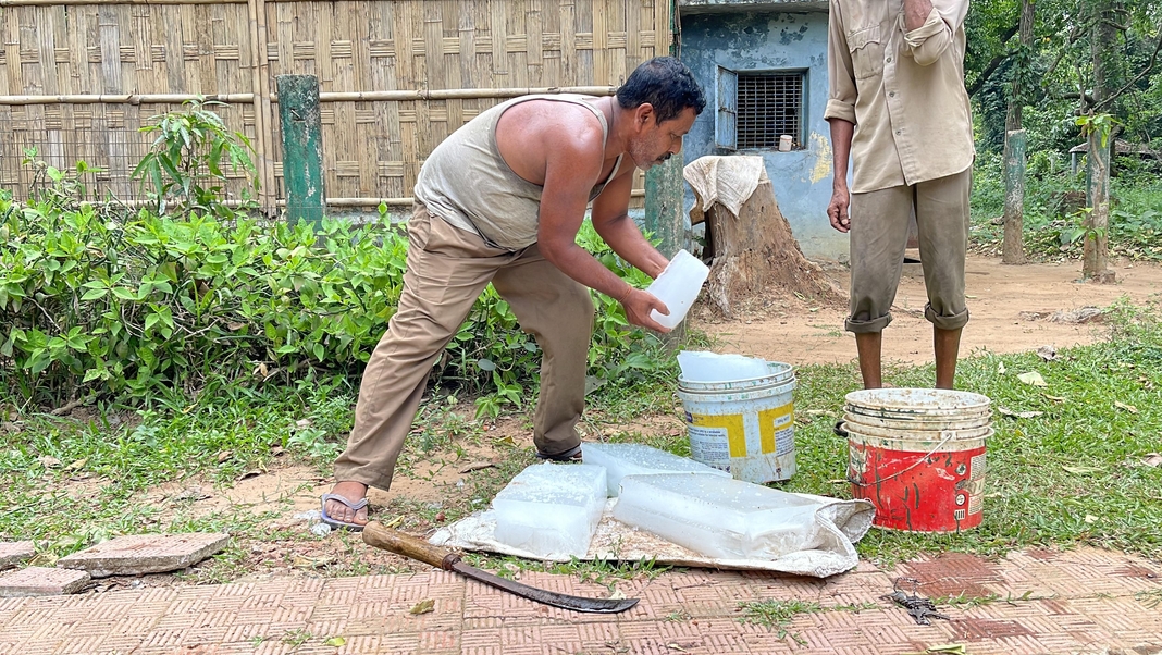 Sepahijala Zoological Park takes proactive measures amid heat wave, ensures animal well-being