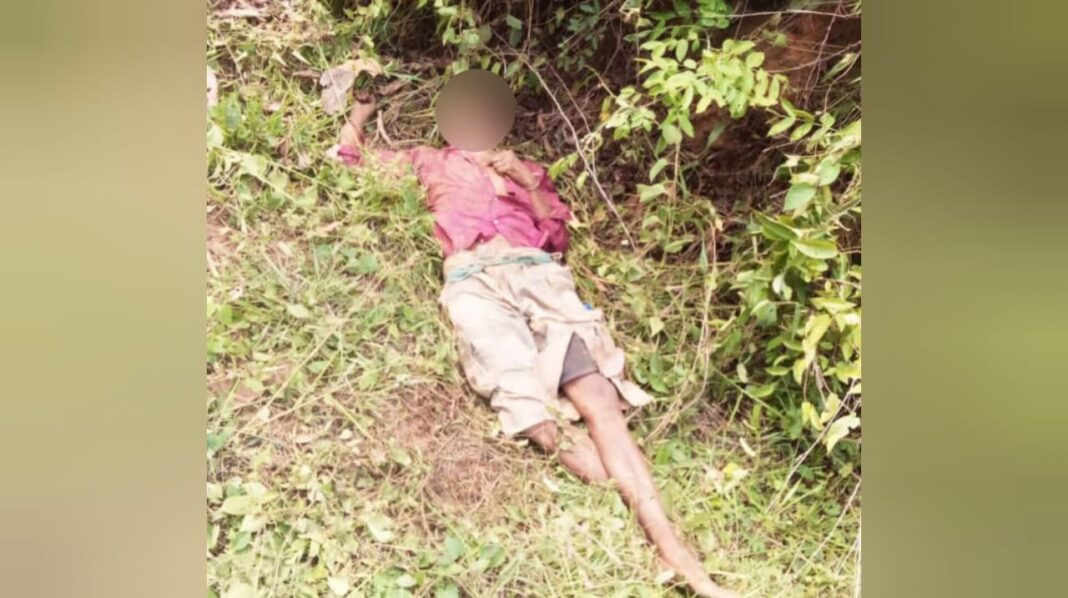 Mentally challenged man killed in elephant attack in South Garo Hills
