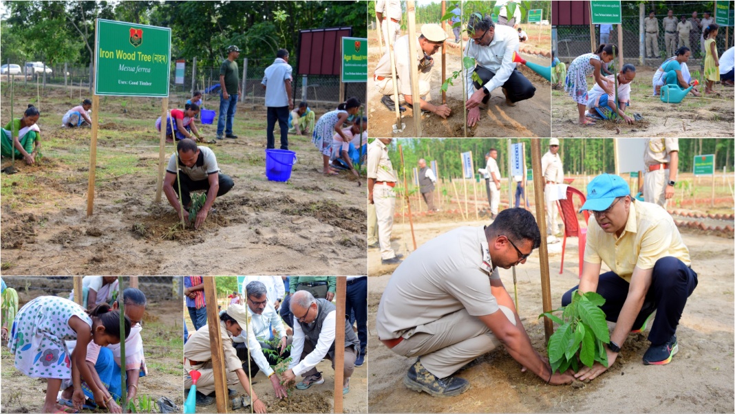 Assam: Forest Department Marks World Environment Day with Plantation Drive in Boko