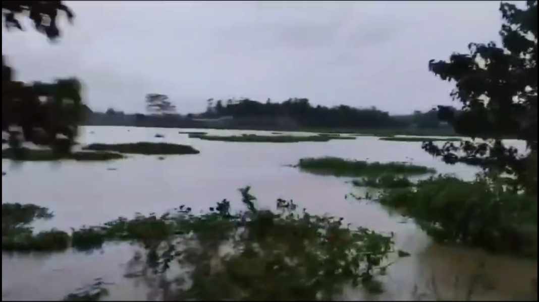 3.4 lakh people affected in first wave of Assam flood, 8 reported dead