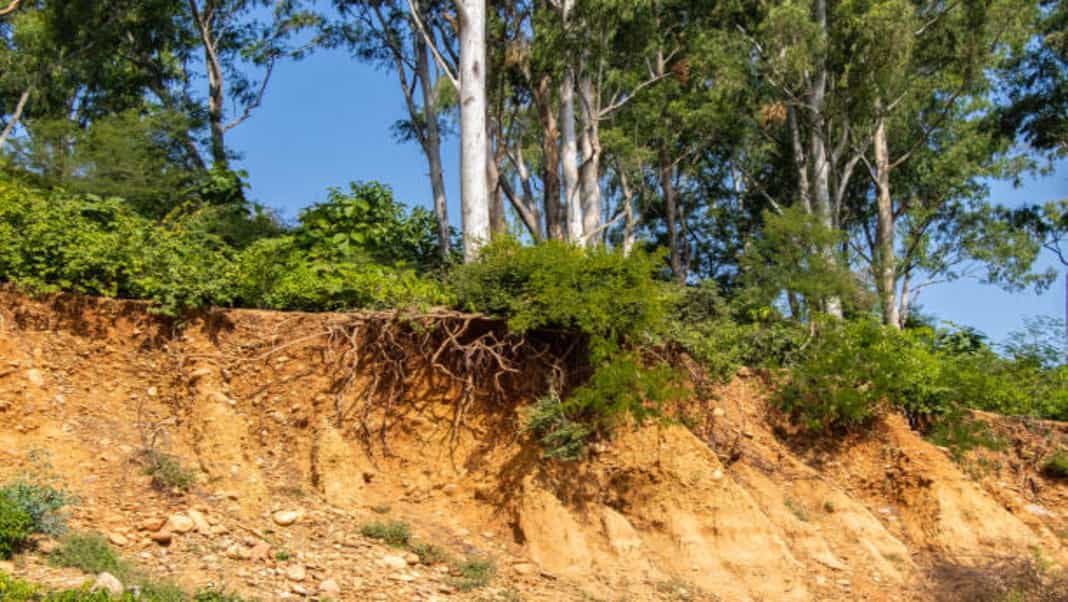 Three districts of Meghalaya in top 20 most vulnerable soil loss districts in the country