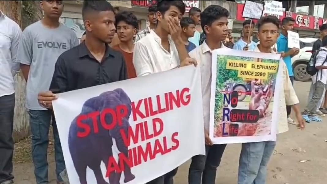 Tragic death of elephant sparks student protests at Numaligarh Refinery