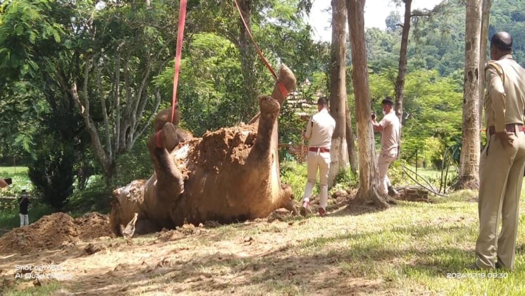 Tragic death of elephant sparks student protests at Numaligarh Refinery