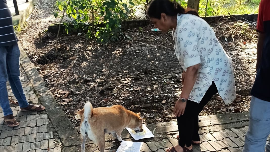 Vineet Bagaria's compassionate campaign continues to save stray animals