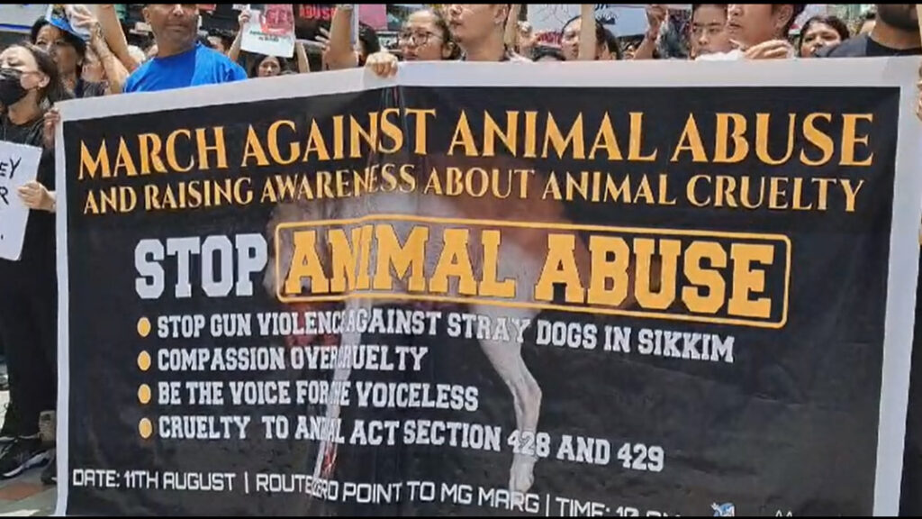 Animal rights activists demand justice for brutal killing of stray dog in Gangtok