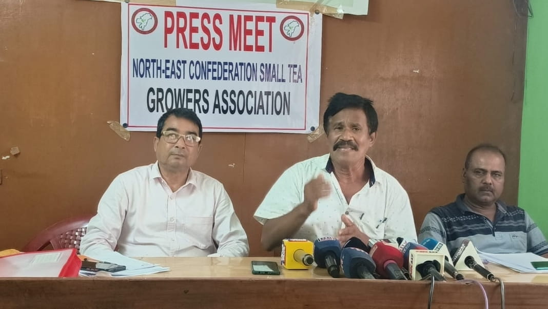 Small tea growers of northeast India unite to address challenges