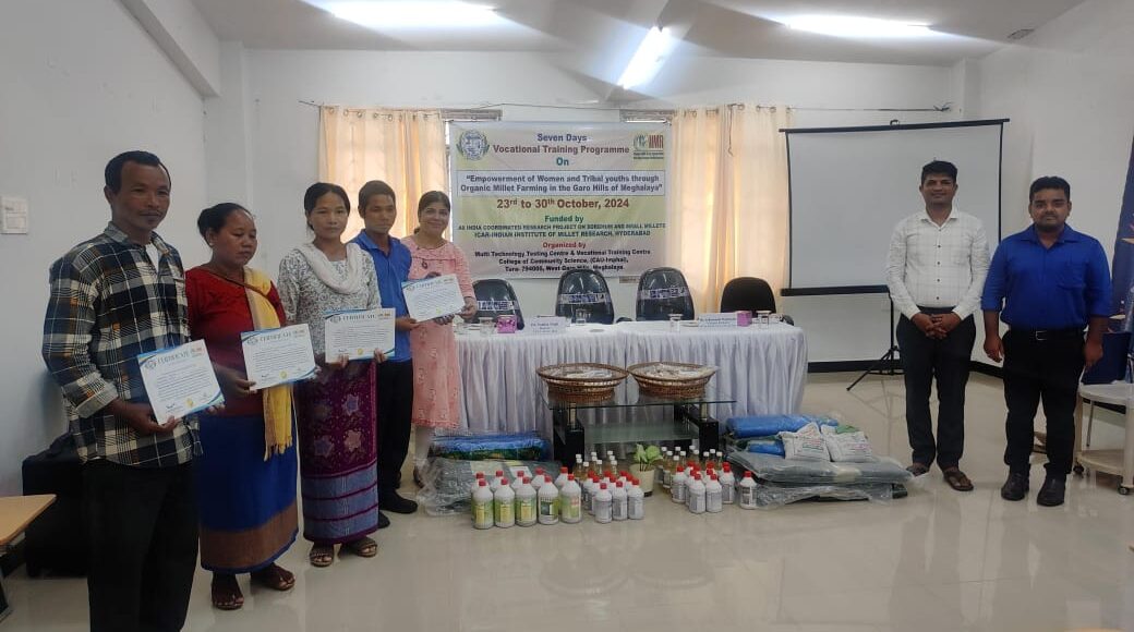 Reviving millet cultivation in Meghalaya: Farmers undergo organic millet farming in Garo Hills