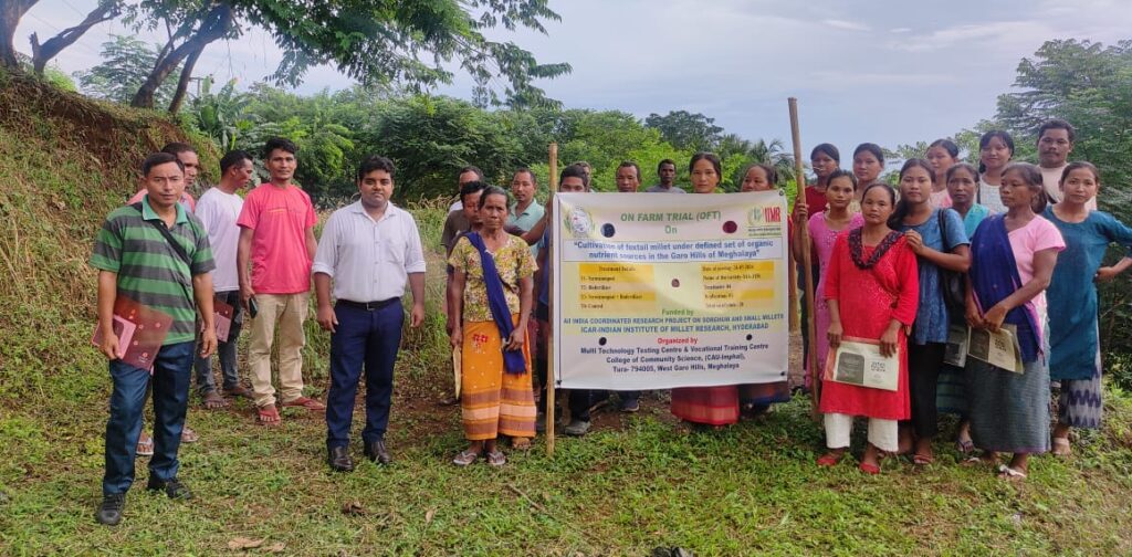 Reviving millet cultivation in Meghalaya: Farmers undergo organic millet farming in Garo Hills