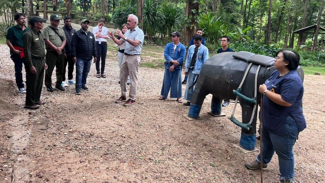 Assam mahouts attend Thailand workshop on Gentle Elephant Training