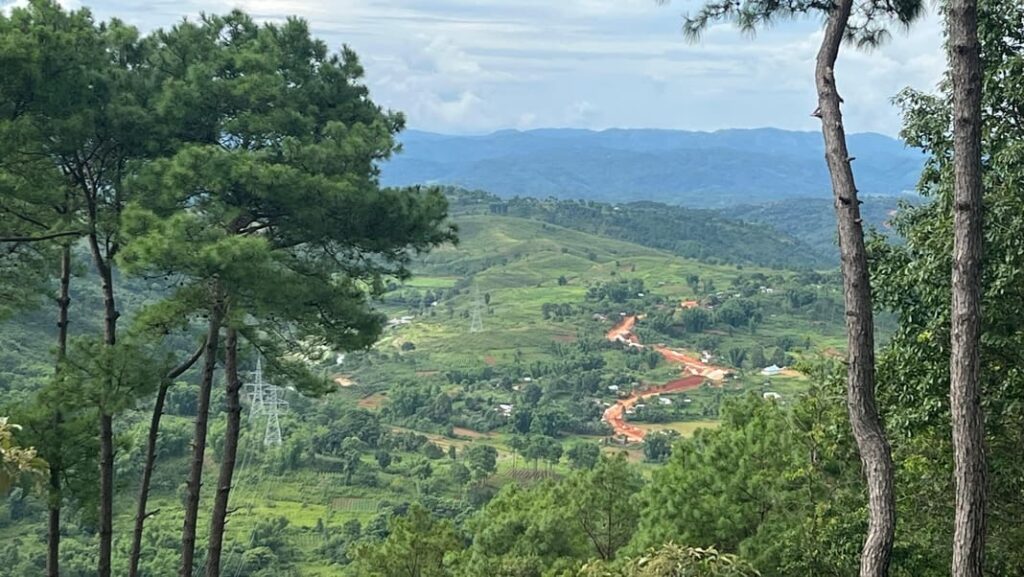 Meghalaya’s Forest Revival: USTM’s Dr. Bhat Leads Global Biodiversity Study