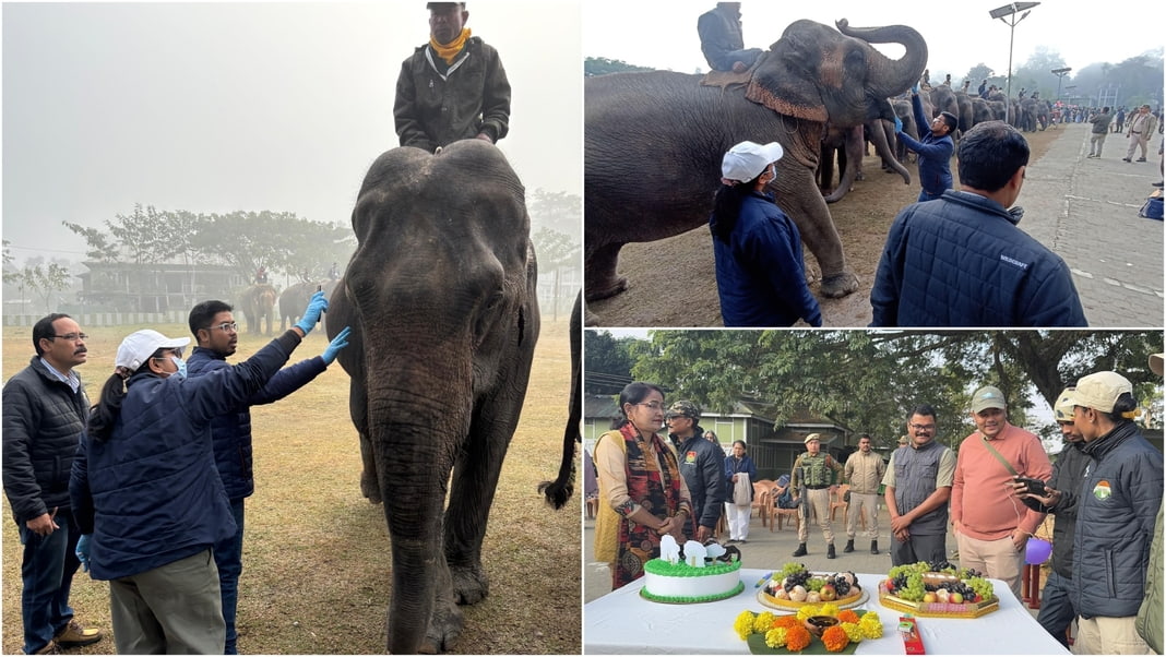 Little Pori turns one: Kaziranga celebrates with Elephants and visitors