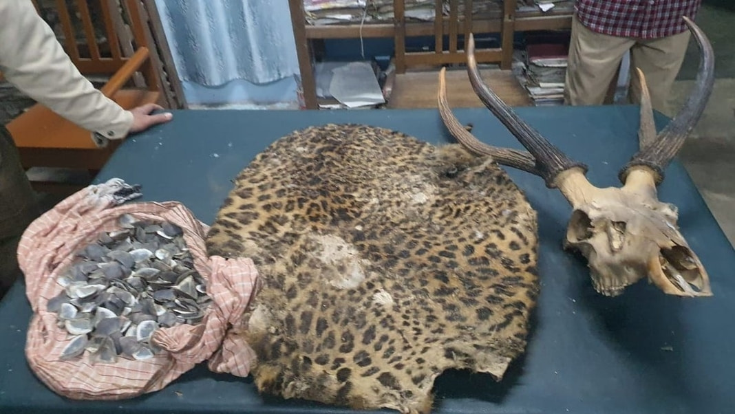 Assam: Pangolin and leopard skins recovered, three arrested