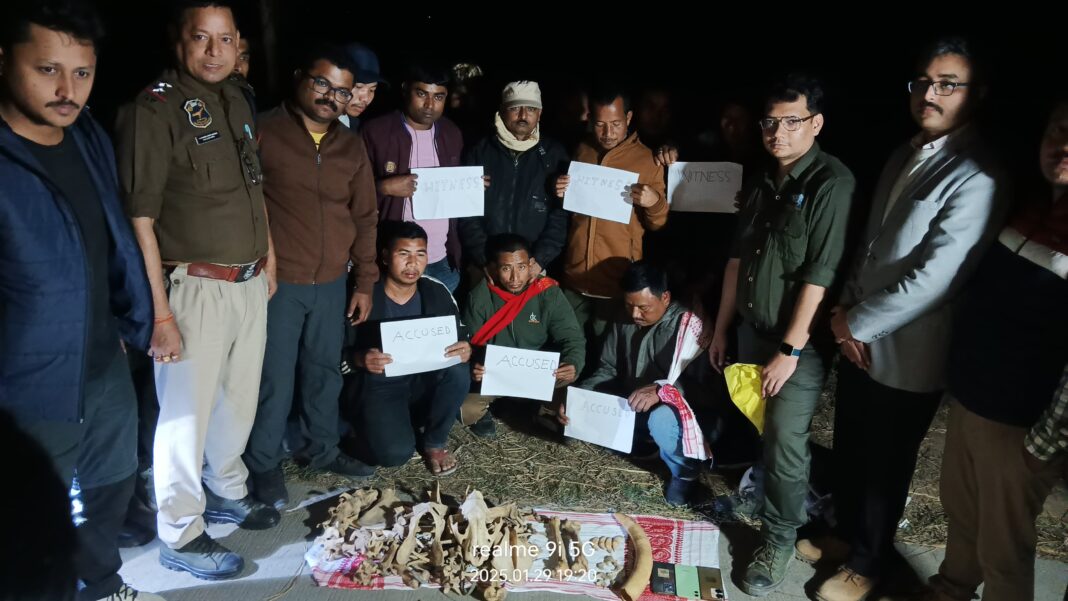 3 persons arrested with animal parts in Nagaon