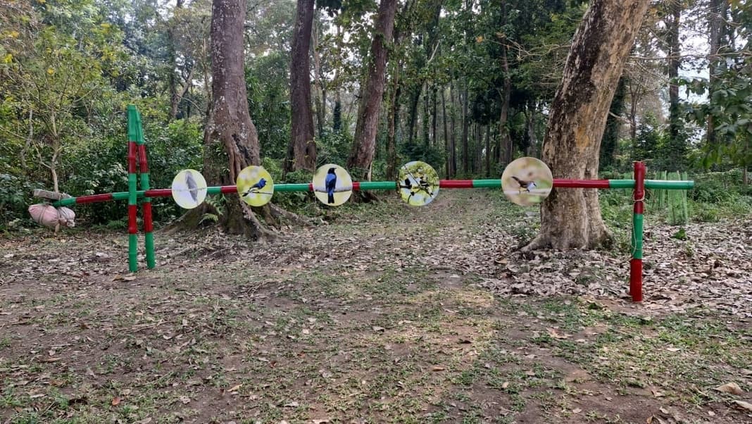 Panbari Forest reopens: A paradise for birdwatchers and nature enthusiasts returns