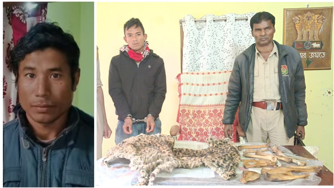 Two arrested in Assam for wildlife smuggling