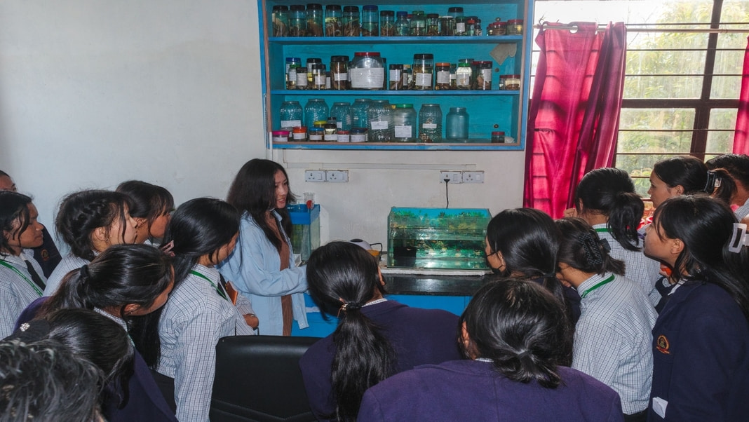 Nagaland University researchers collaborate with local community to protect indigenous fish in Dikhu River