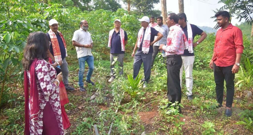 Meghalaya emerges as rubber growth engine: ATMA Chairman backs Northeast to lead national production