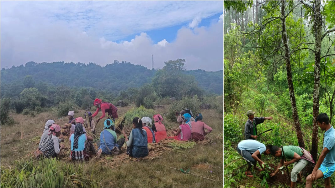 Grassroots Champions: Meghalaya villages honoured for biodiversity conservation