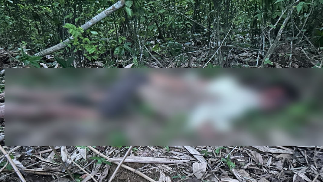 Elephant kills man in Palashbari as forest dept faces heat over inaction and rampant deforestation